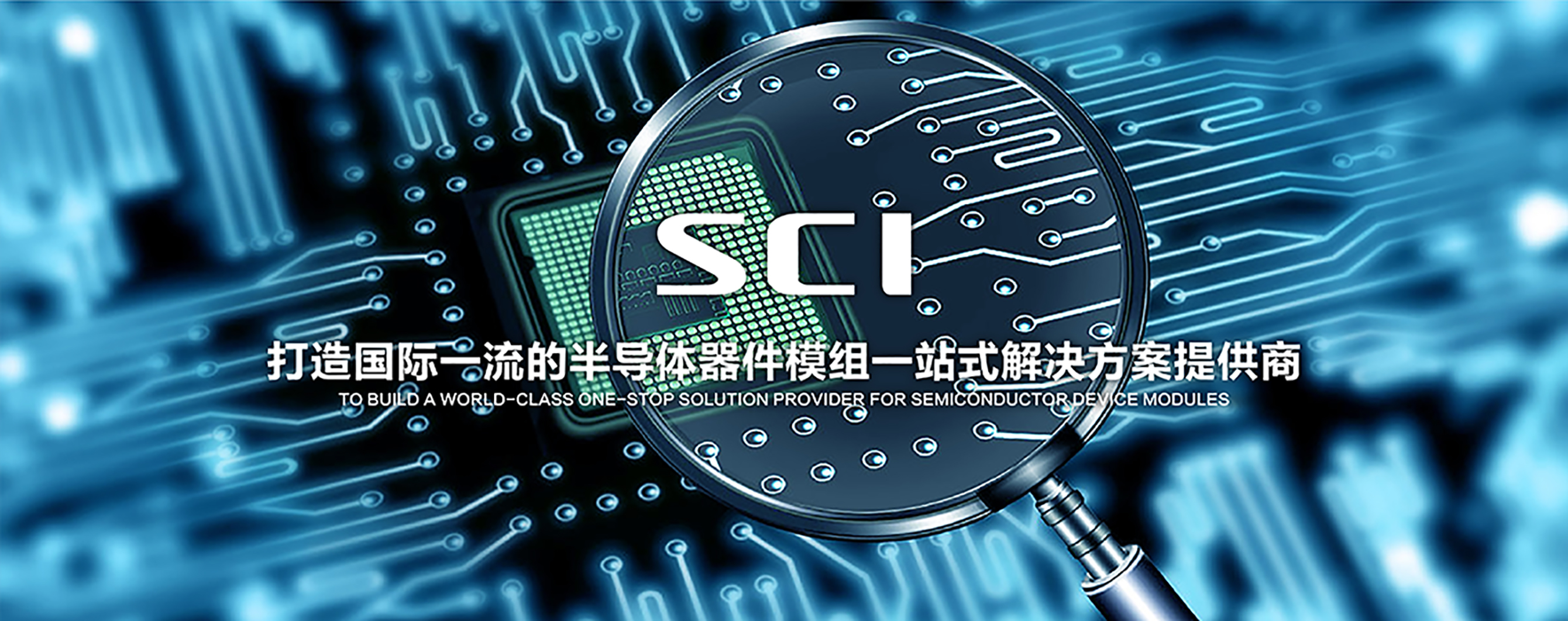 SKYCHIPINTERCONNECTIONTECHNOLOGYCO.,LTD
